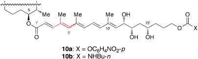 Fig. 12.