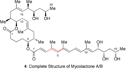 Fig. 5.