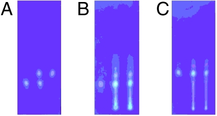 Fig. 11.