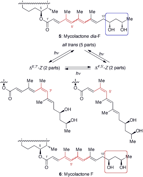 Fig. 6.