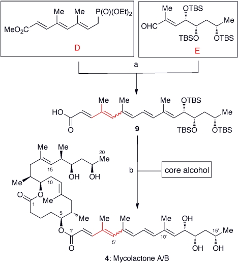 Fig. 10.