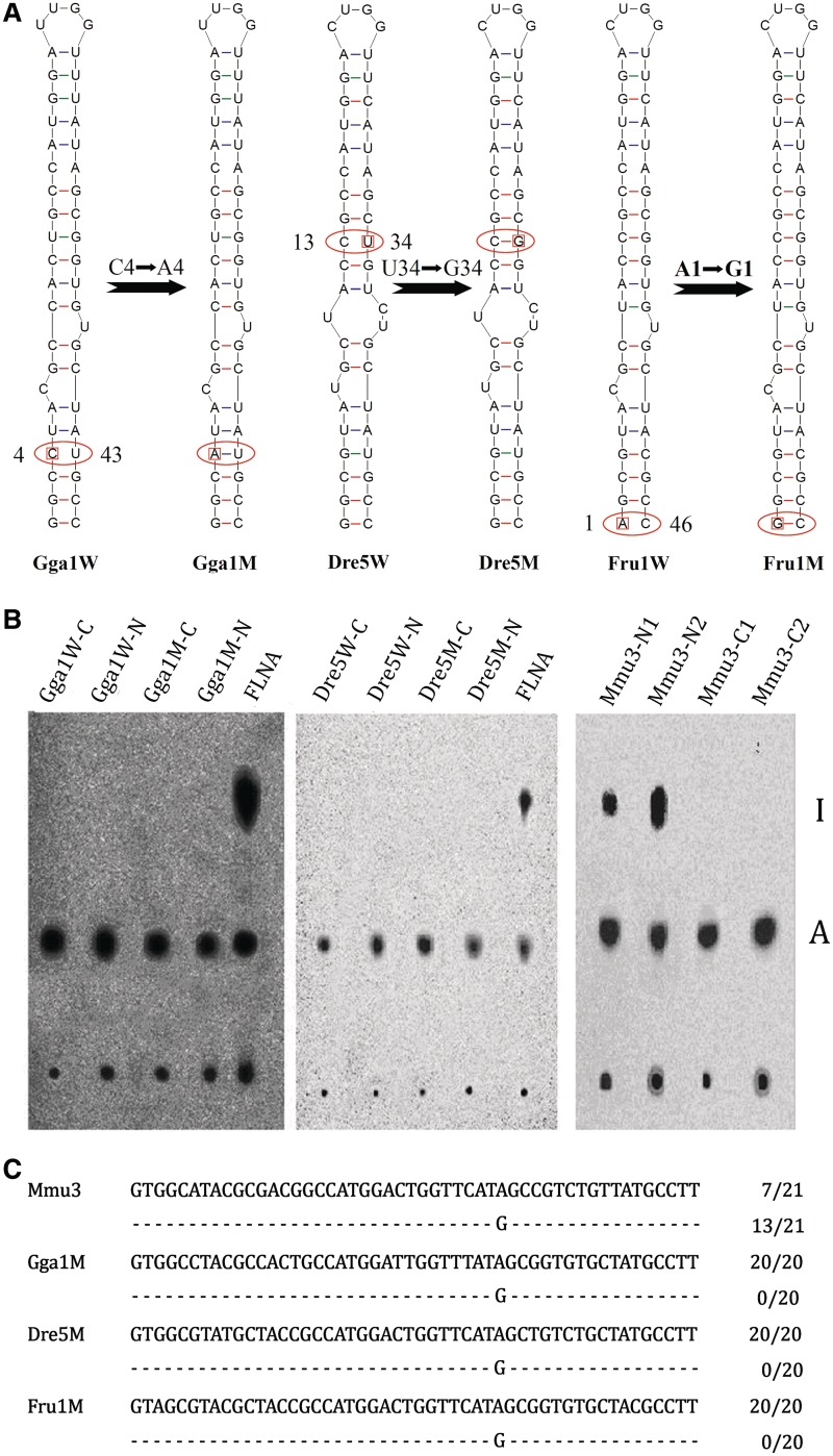 Figure 5.