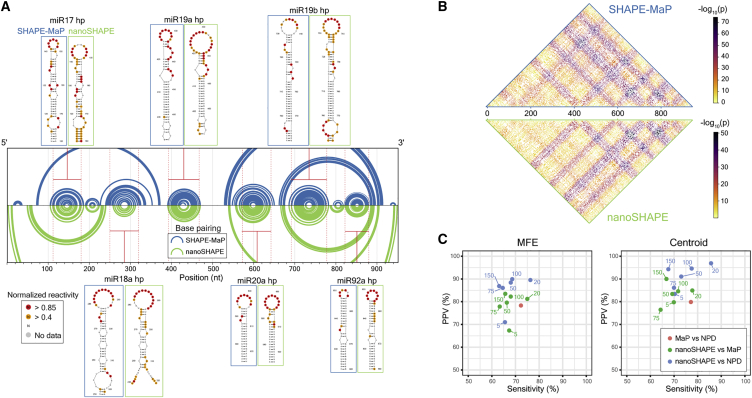 Figure 5