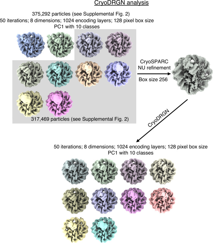 Figure 2—figure supplement 1.