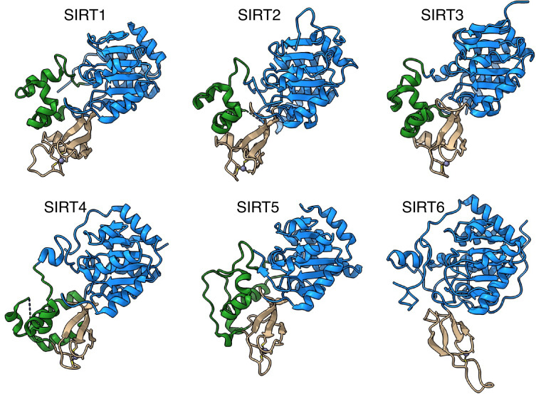 Figure 1—figure supplement 1.