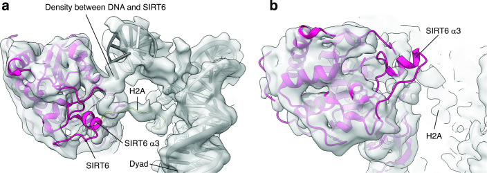 Figure 3—figure supplement 2.