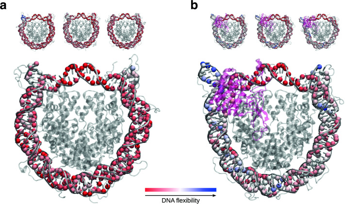 Figure 2—figure supplement 2.