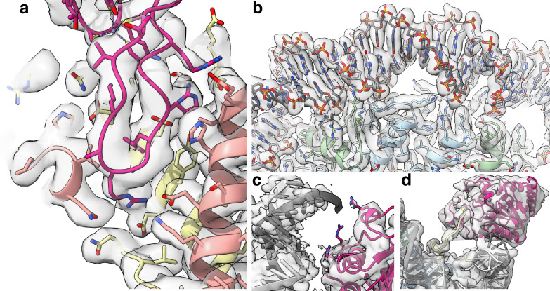 Figure 1—figure supplement 4.