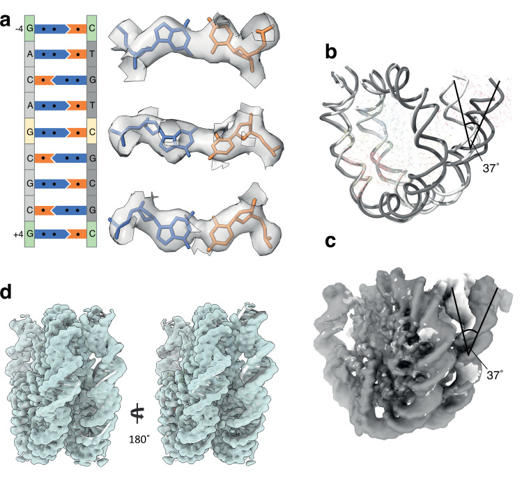 Figure 1—figure supplement 5.