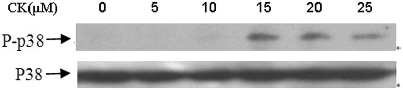 FIG. 5.