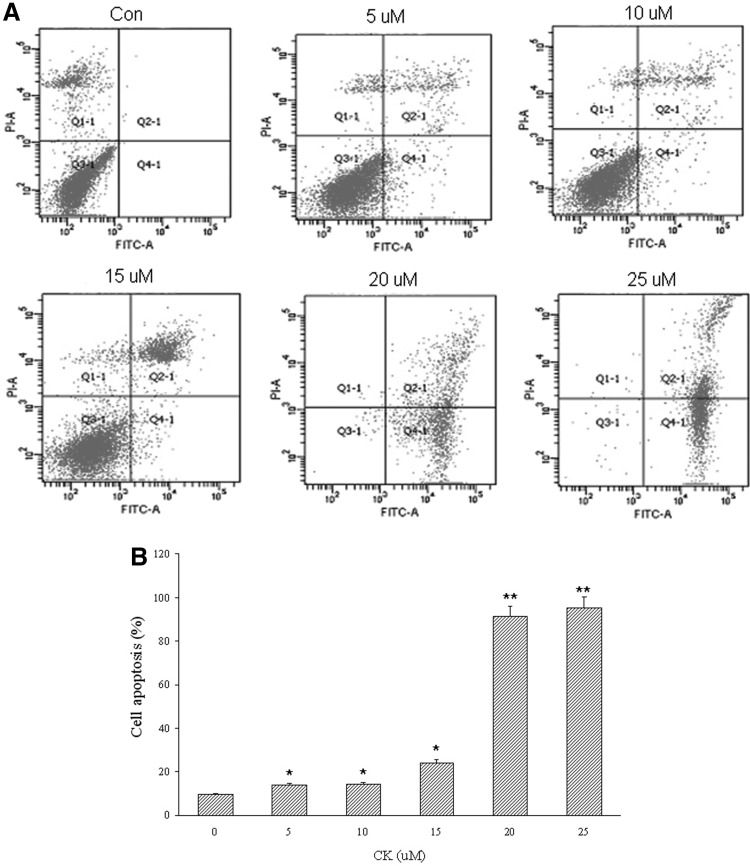 FIG. 3.