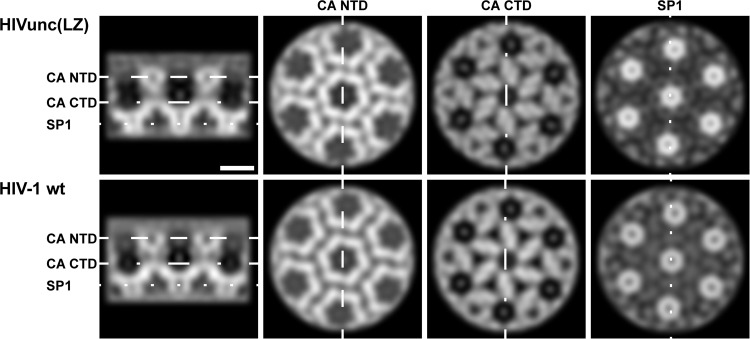 FIG 4