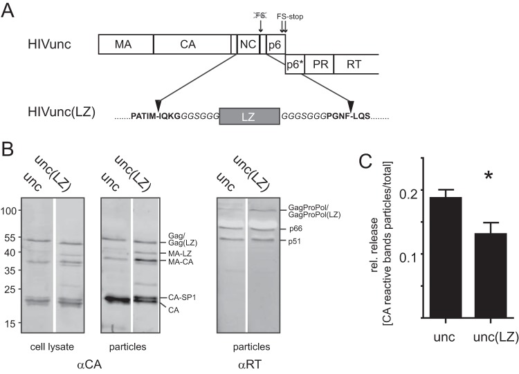 FIG 1