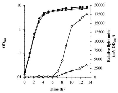 FIG. 7