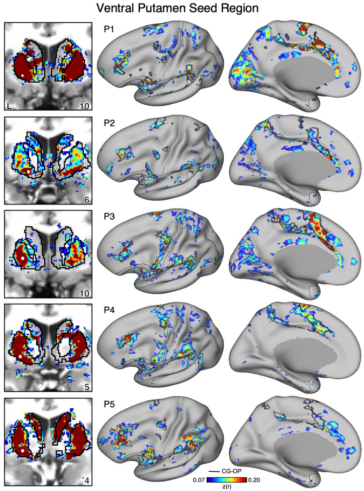 Figure 12.