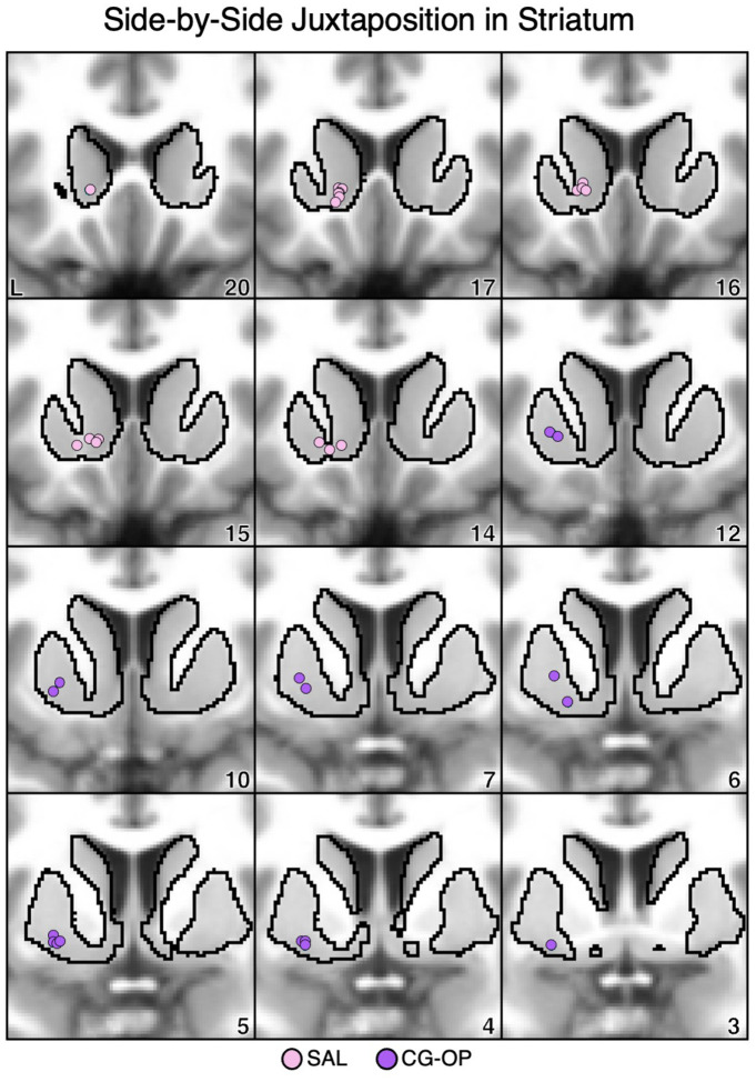 Figure 17.