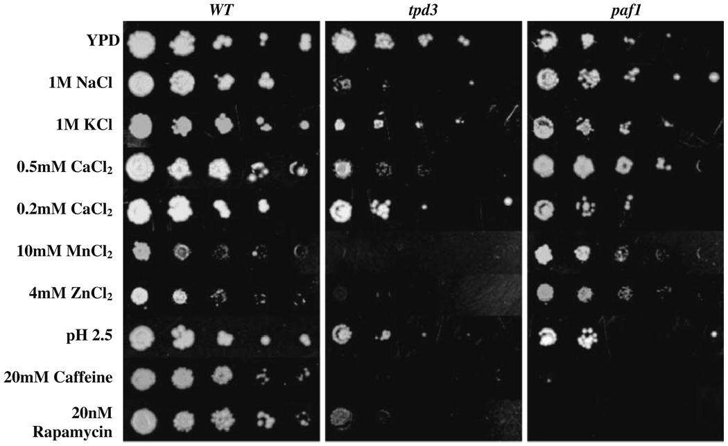 Fig. 6