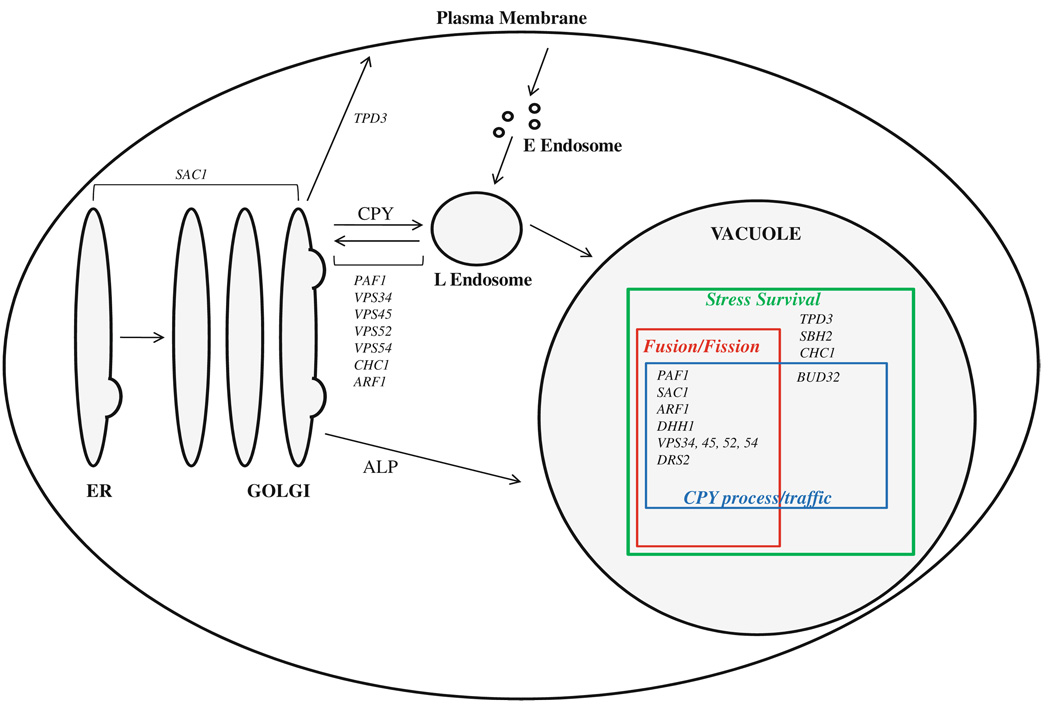 Fig. 9