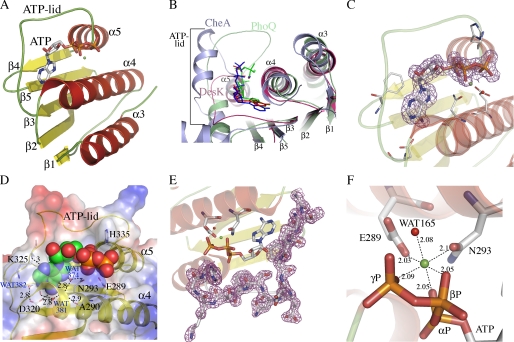 FIGURE 1.