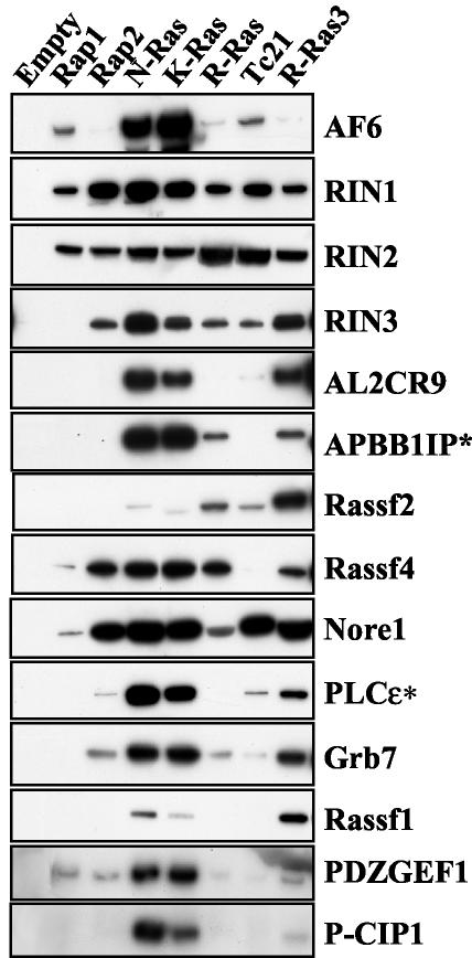 FIG. 5.