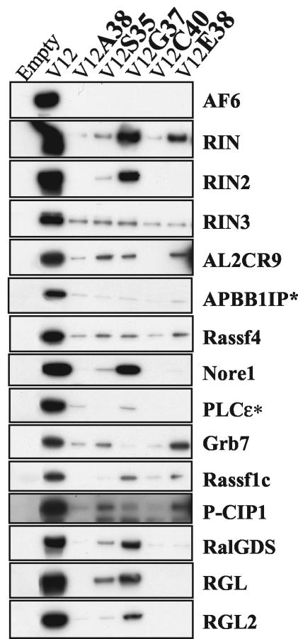 FIG. 6.