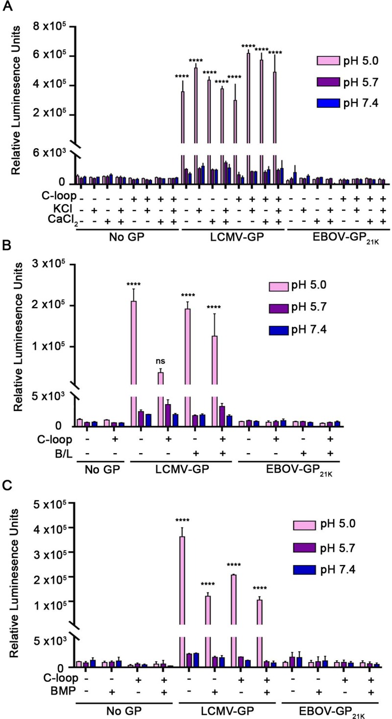 Fig 4