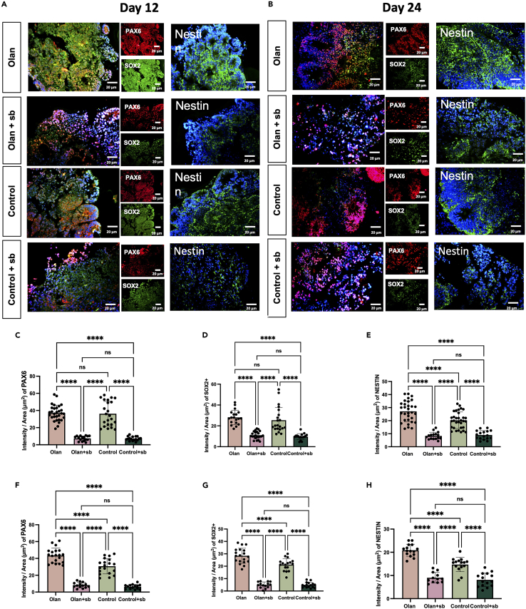 Figure 4