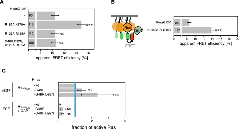 Figure 4—figure supplement 1.