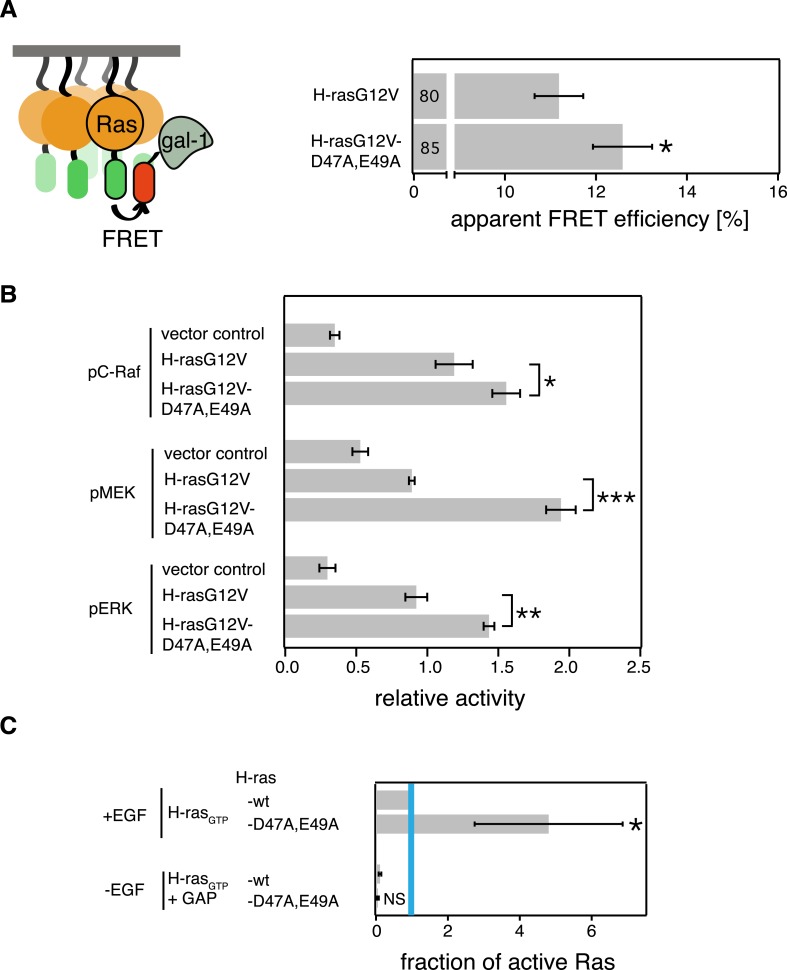 Figure 2—figure supplement 1.