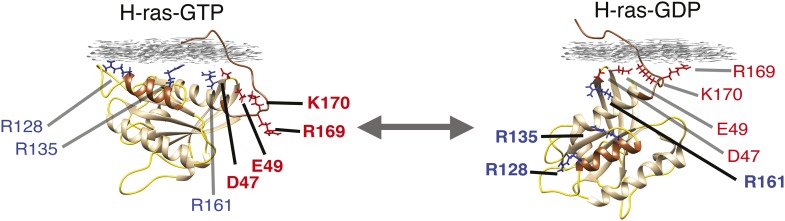 Figure 1—figure supplement 1.