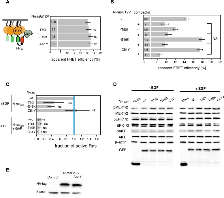 Figure 5—figure supplement 1.