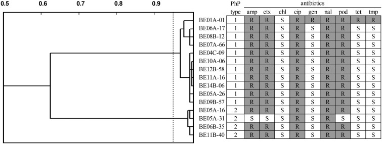 FIG 1