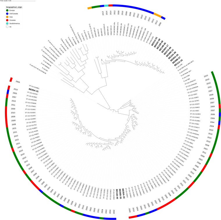 FIG 2