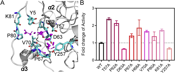 Figure 2