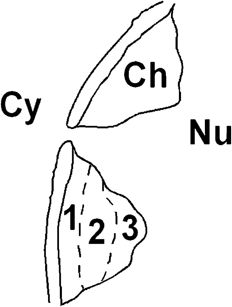 Fig. 4