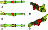 Fig. 6