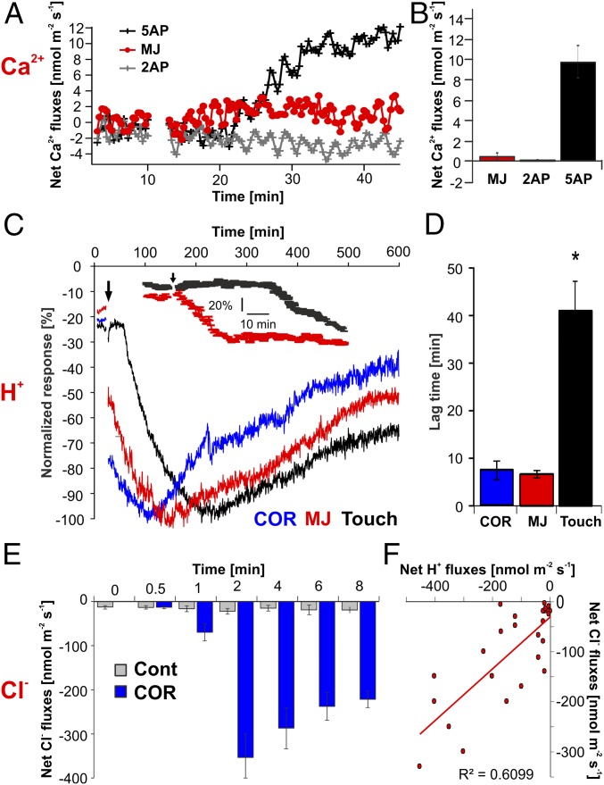 Fig. 2.