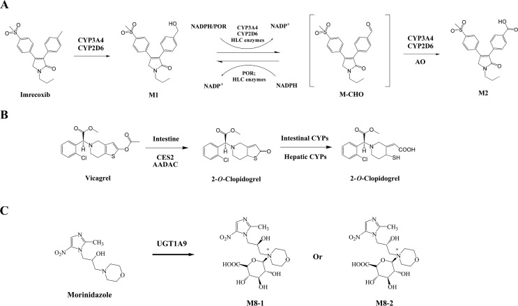 Figure 4