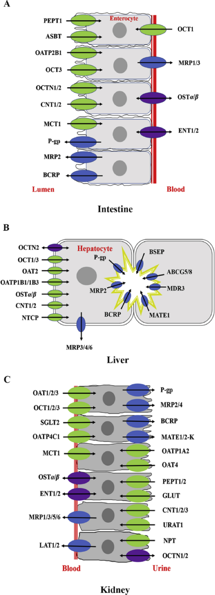 Figure 1