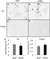 Fig. 9.