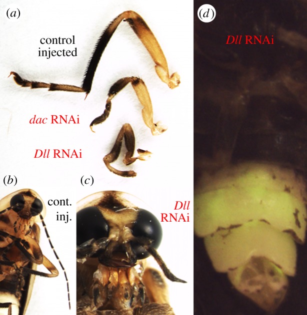 Figure 3.