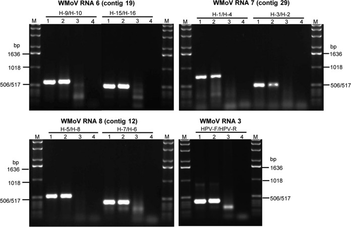 FIG 2