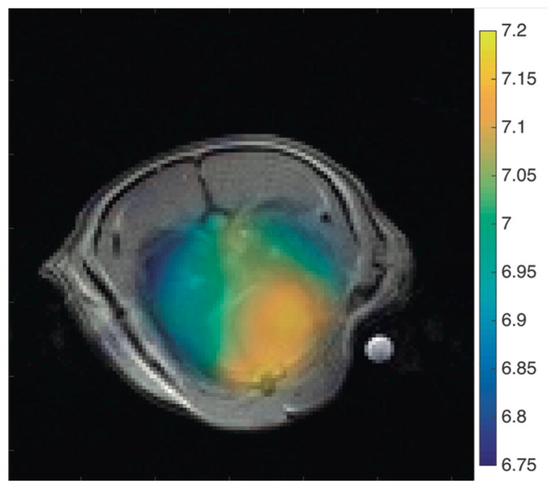 Fig 5