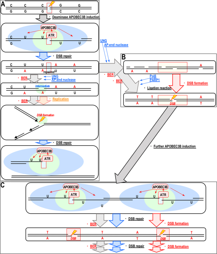 Fig. 4