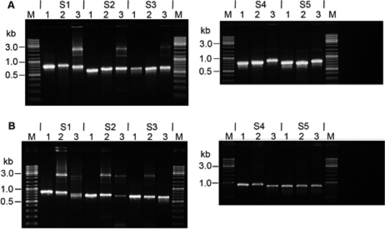 Figure 7.