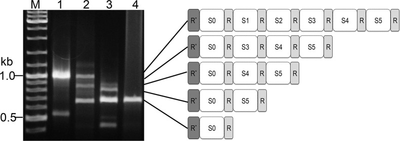 Figure 5.