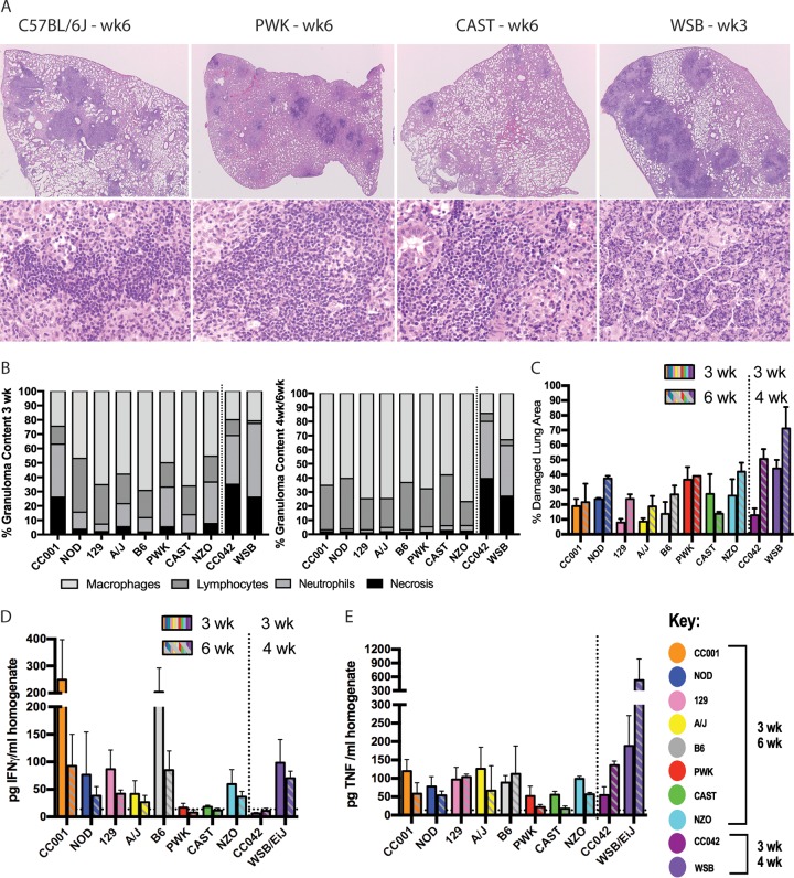 FIG 2 