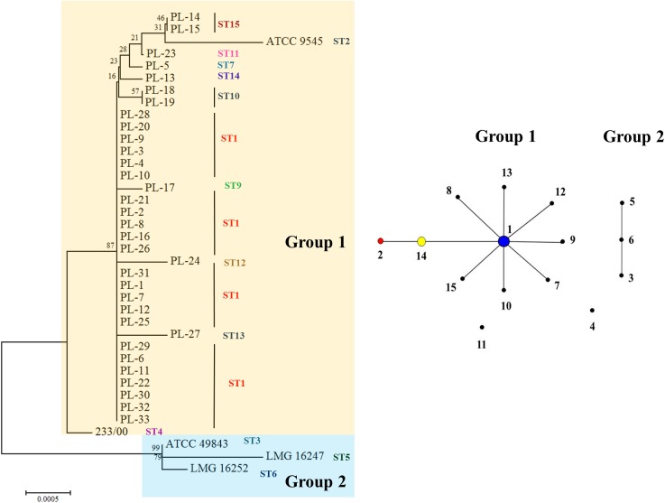 Fig 3