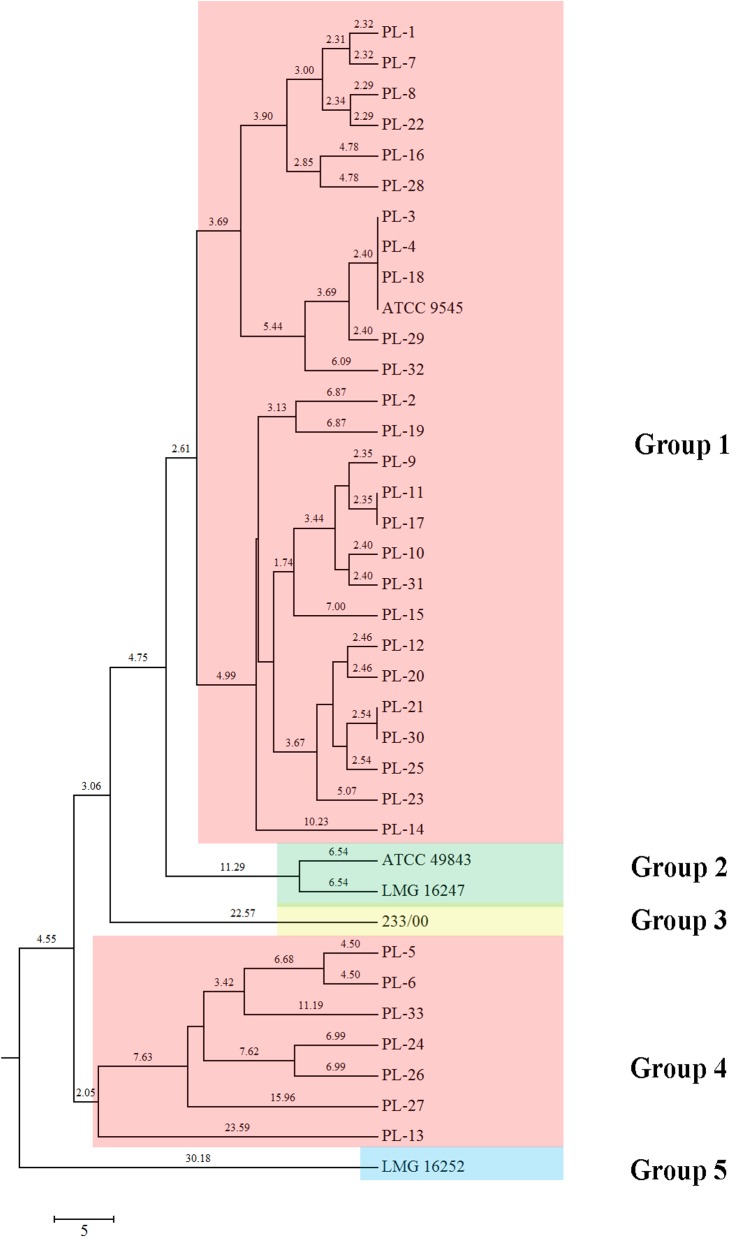 Fig 6