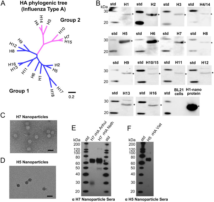 Fig 4